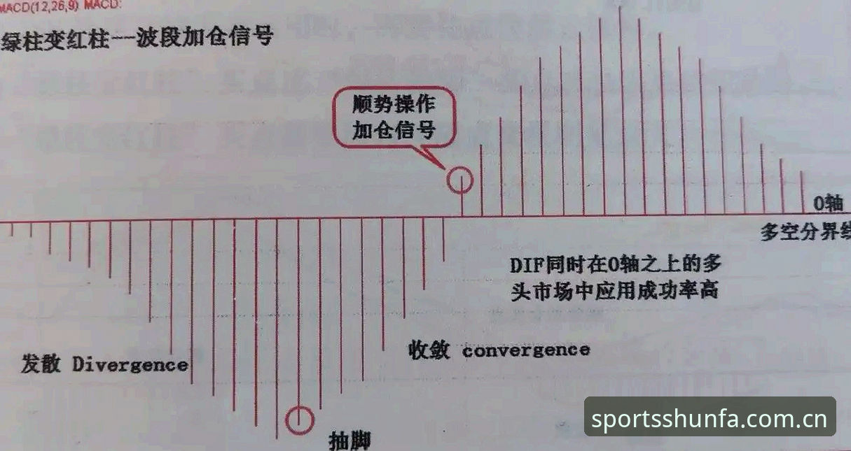 顺发体育官网实操指南：5个关键步骤快速上手体育赛事投注